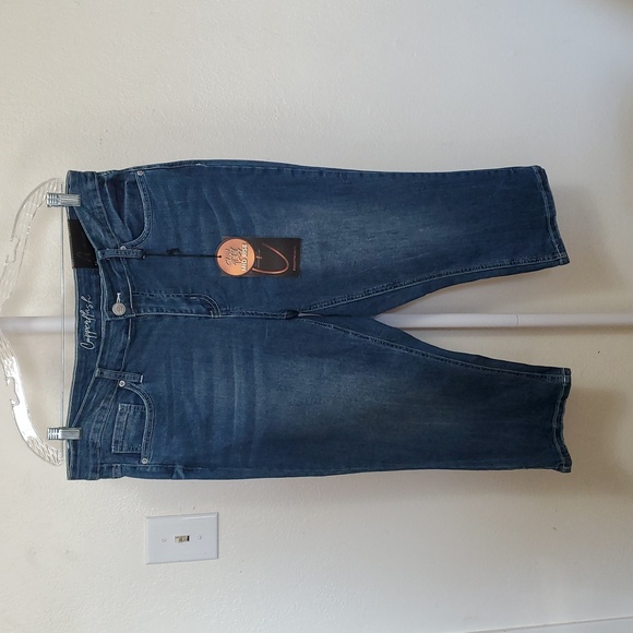 Copperflash Pants - Curvy Denim Capri